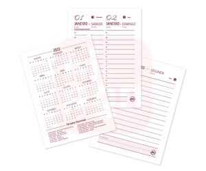 Agenda Executiva A6 Minnie 2022 - DAC