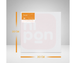 Tela Para Pintura 20x20 - Souza